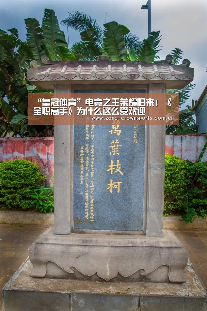 “皇冠体育”电竞之王荣耀归来!《全职高手》为什么这么受欢迎(图1) 皇冠服务