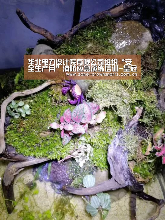 皇冠官网