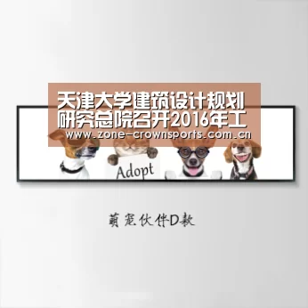 皇冠服务